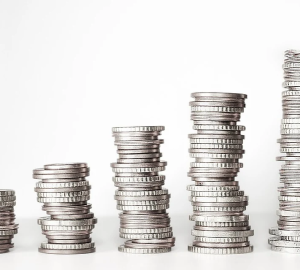 Министр финансов Пензенской области в 2021 году заработала около 3 млн рублей