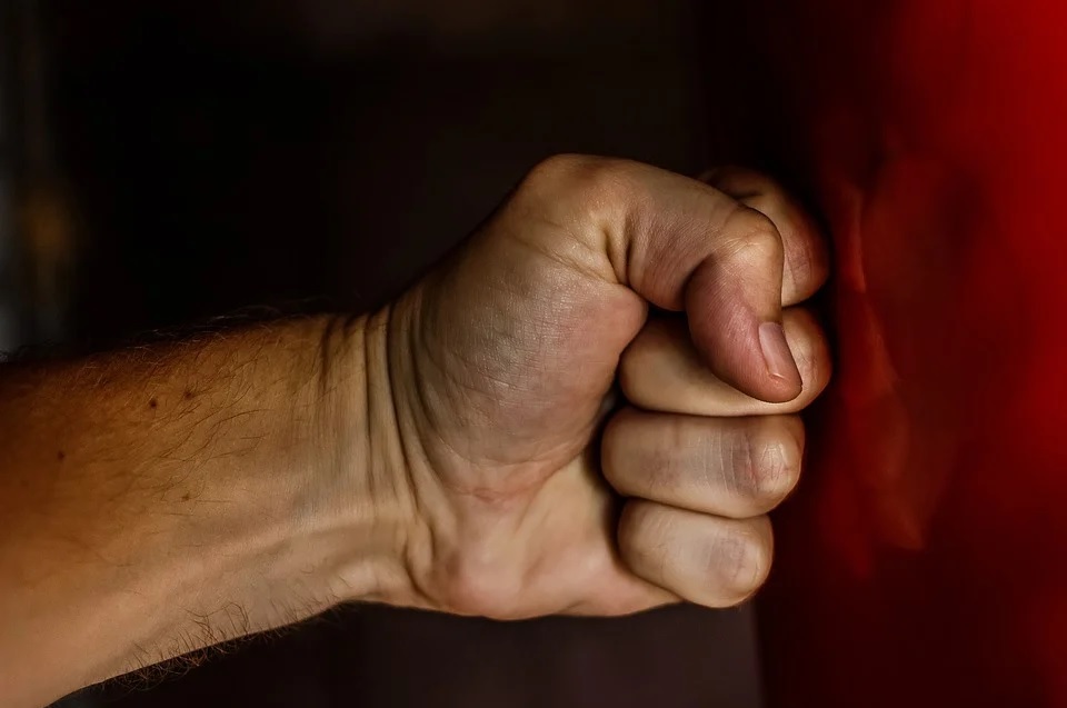 В Пензе собачник подрался с наглым водителем из-за парковки