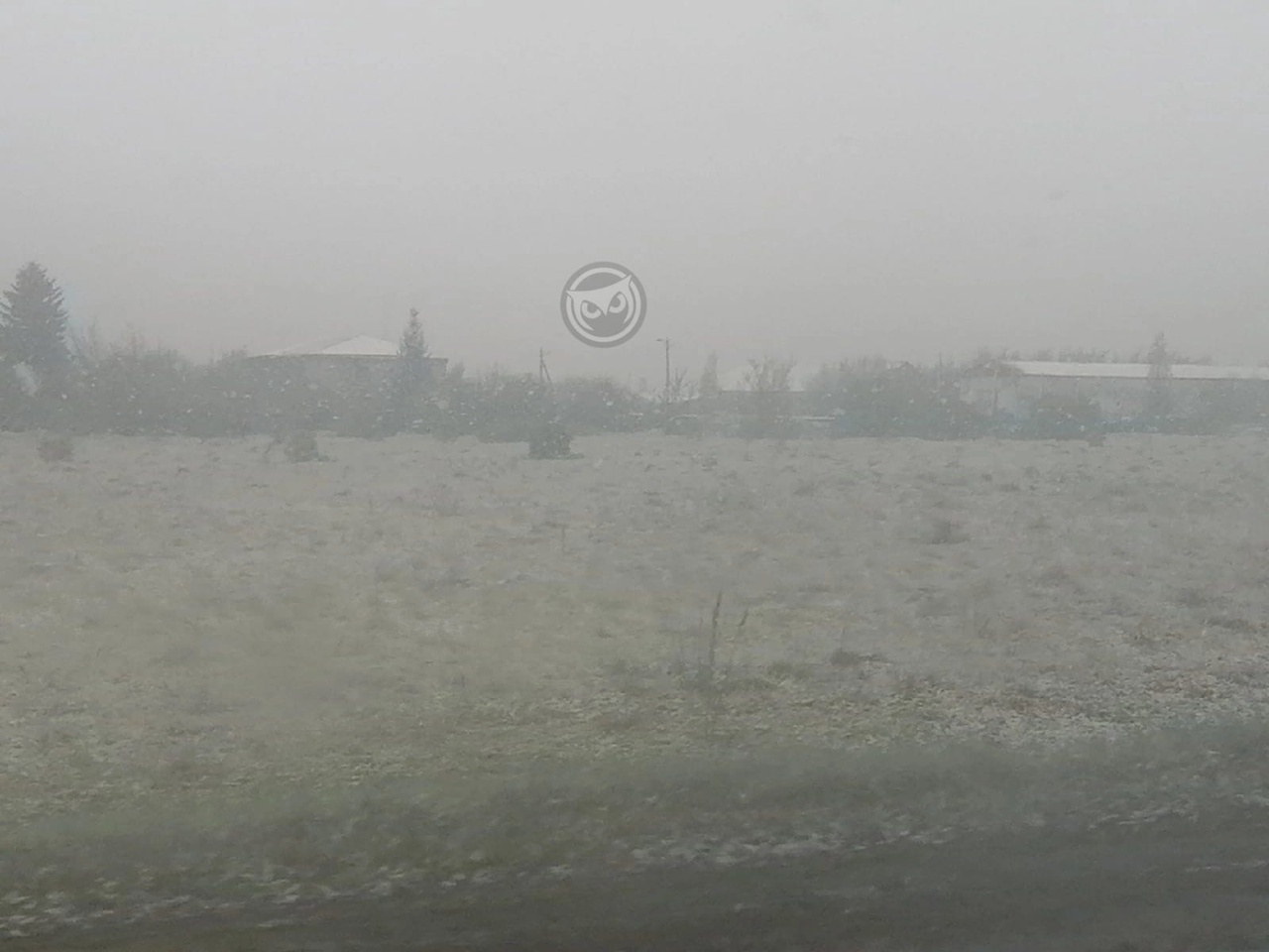 В Пензенской области выпал майский снег