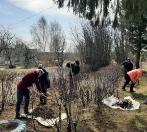 В Пензе отчитались о проведении субботника, в городе высадили более 3000 деревьев