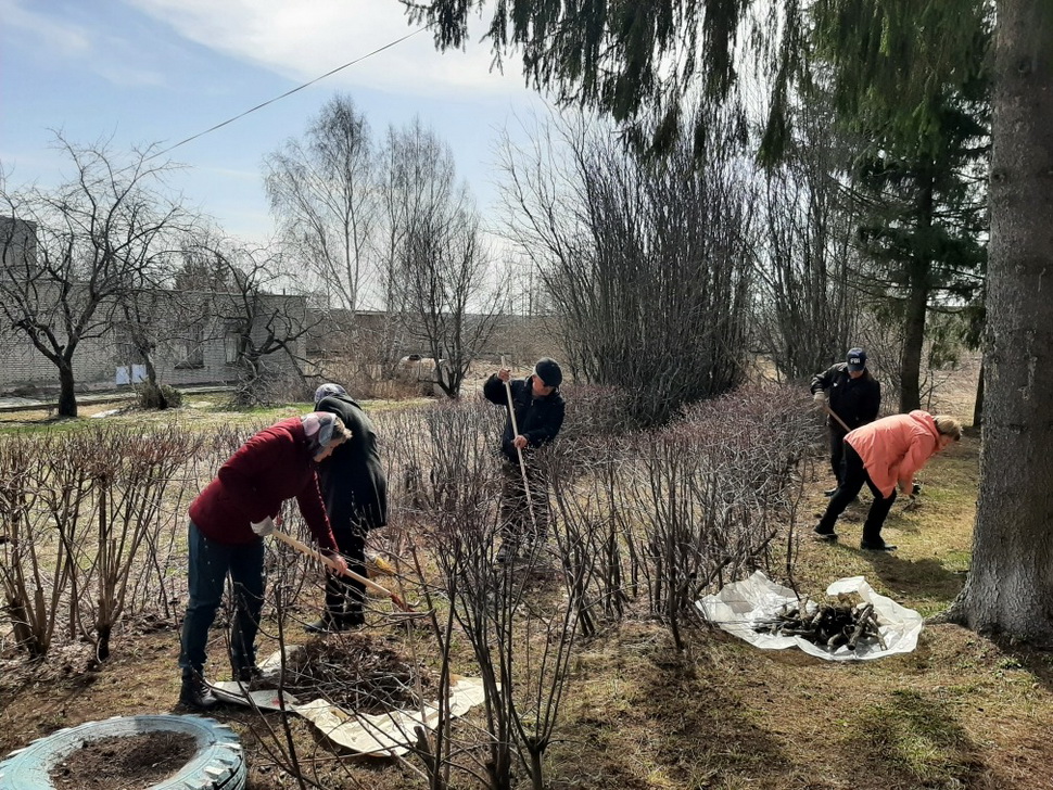 В Пензе отчитались о проведении субботника, в городе высадили более 3000 деревьев