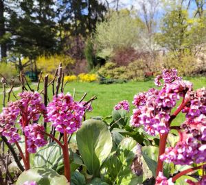 В Пензенской области потеплеет до +25ºС