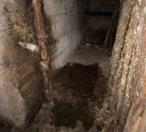 Жители дома на улице Беляева опасаются, что запасенные ими консервы затопит фекалиями