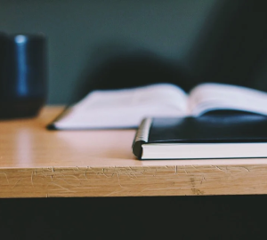 Пензенские школьники в 2022 году вновь получат «культурные дневники»