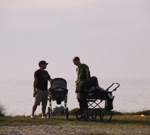 Пензячка указала на двух «товарищей», унесших чужую детскую коляску