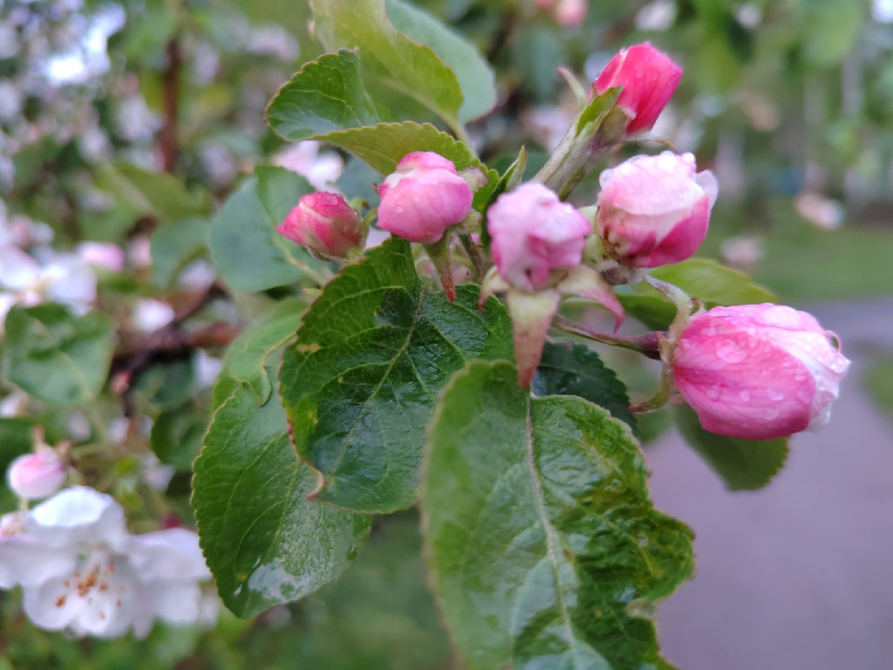 Какая погода ждет пензенцев 21 мая