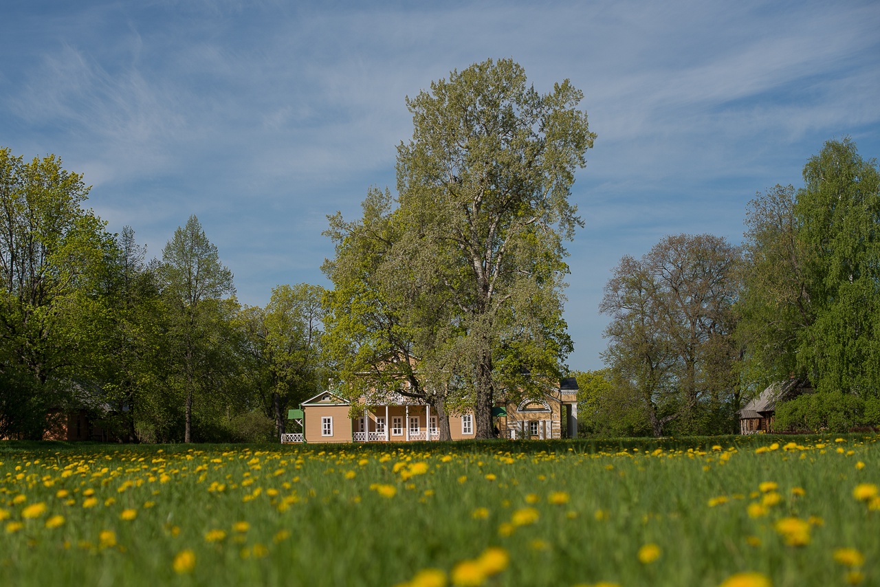Жителям Пензенской области рассказали, как можно провести праздники в июне