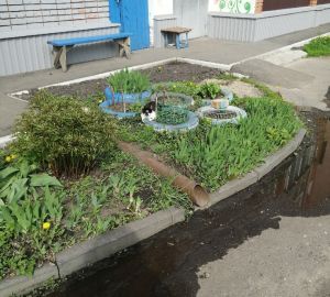 В Кузнецке соседи подрались из-за покрышек, превращенных в цветочные клумбы