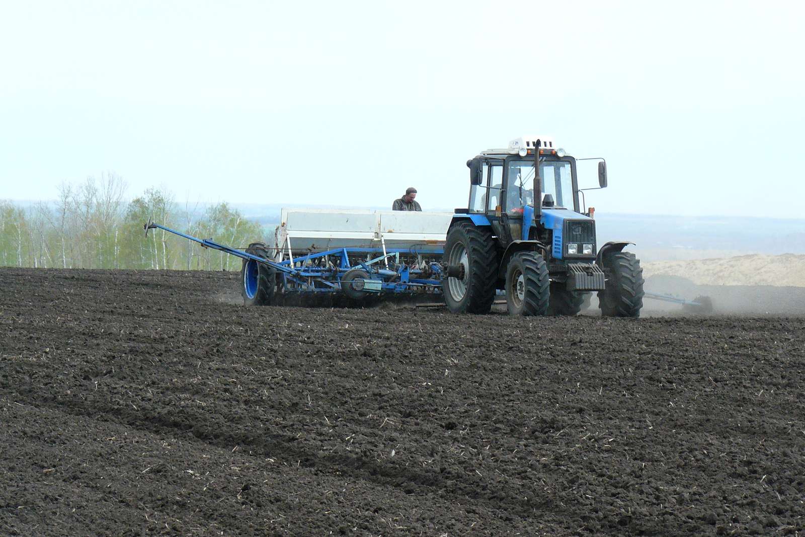 В кузнецком районе посеяли более 16 000 га яровых культур