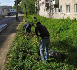 В Первомайском районе высадили более 100 деревьев