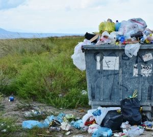 В Пензе определили, кто виноват в проблеме навалов мусора