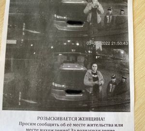 В Пензе ищут злоумышленников, разбивших стекло у машины