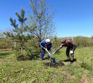 Ольга Чистякова приняла участие в общероссийской акции «Сад памяти»