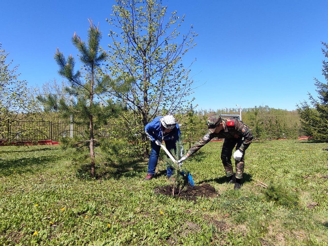 Ольга Чистякова приняла участие в общероссийской акции «Сад памяти»