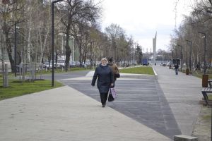 Лидерами по заражению COVID стали Пенза, Башмаковский и Белинский районы