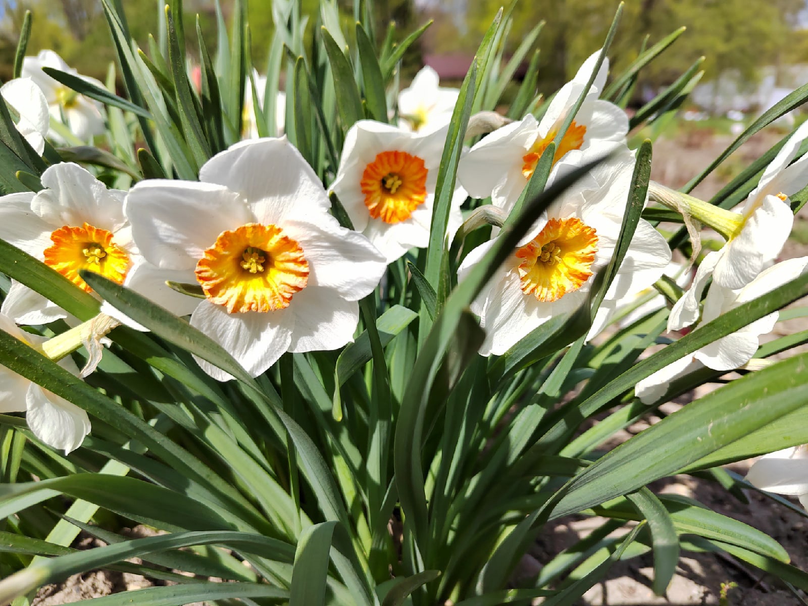 Синоптики рассказали, какую погоду ждать пензенцам 9 мая