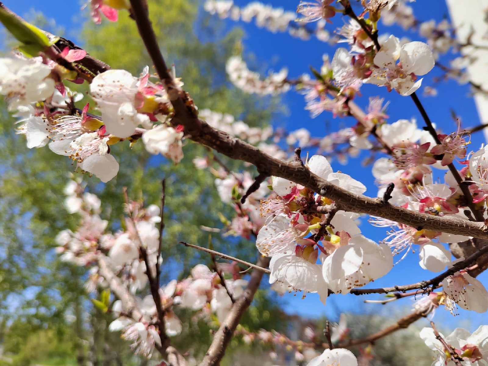 1 мая 2022 года пензенцам рассказали о погоде на праздник