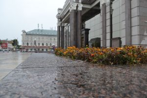 24 мая в Пензенской области вновь ждут дождь