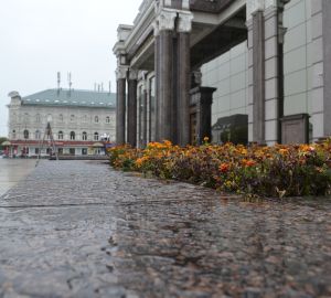 24 мая в Пензенской области вновь ждут дождь