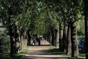 В голосовании по выбору объектов для благоустройства поучаствовали более 600 кузнечан