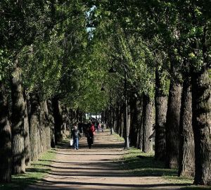 В голосовании по выбору объектов для благоустройства поучаствовали более 600 кузнечан