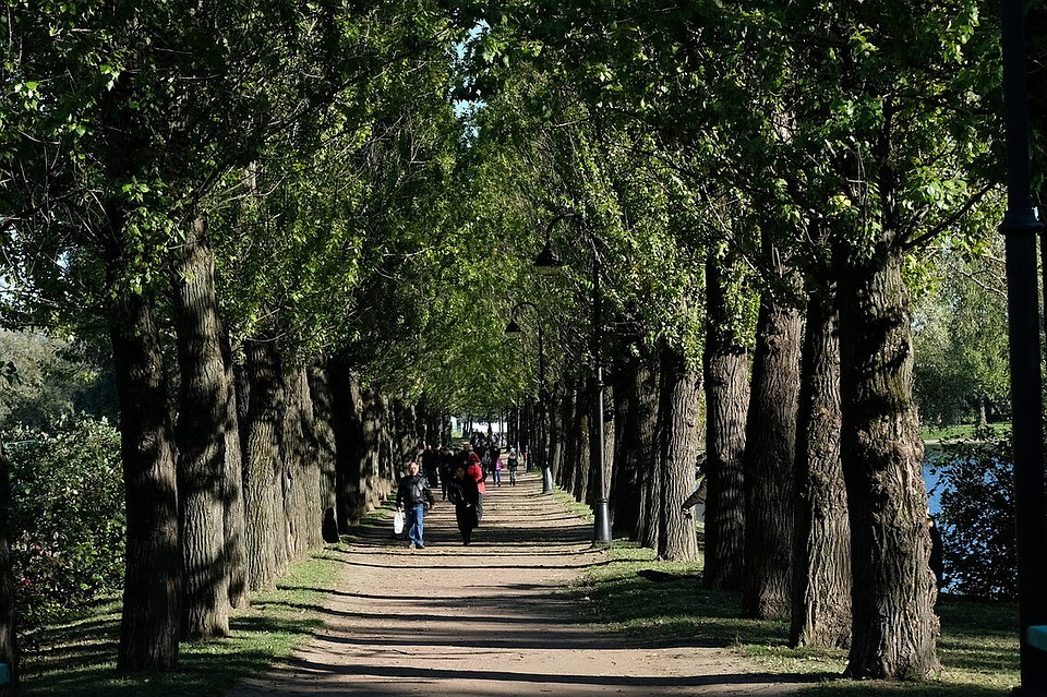 В голосовании по выбору объектов для благоустройства поучаствовали более 600 кузнечан