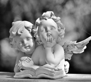 На некоторых кладбищах Пензы начали брать плату за посещение