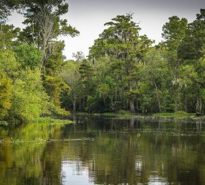 Обеззараживать или фильтровать? Как подготовить грязную воду для питья
