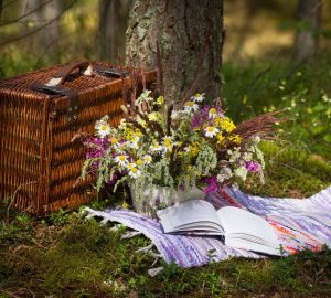 Правила поведения во время пикника: как отдохнуть без вреда для здоровья