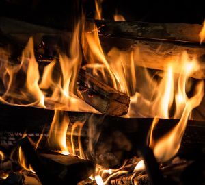 Как развести костер в дождливую погоду: советы от экспертов по выживанию