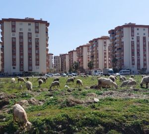 Россиянам продают жилье в Турции за рубли