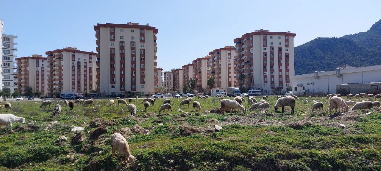 Россиянам продают жилье в Турции за рубли