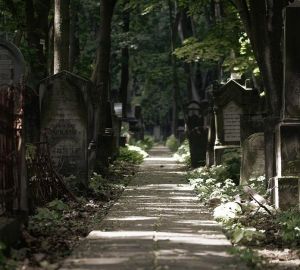 В пензенской Гордуме обсудили проблемы ритуального бизнеса и «Спецбюро»