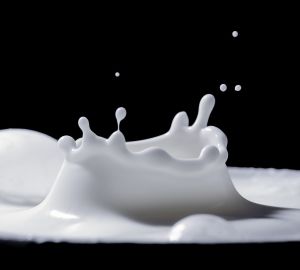 В Пензенской области стали производить больше яиц и молока