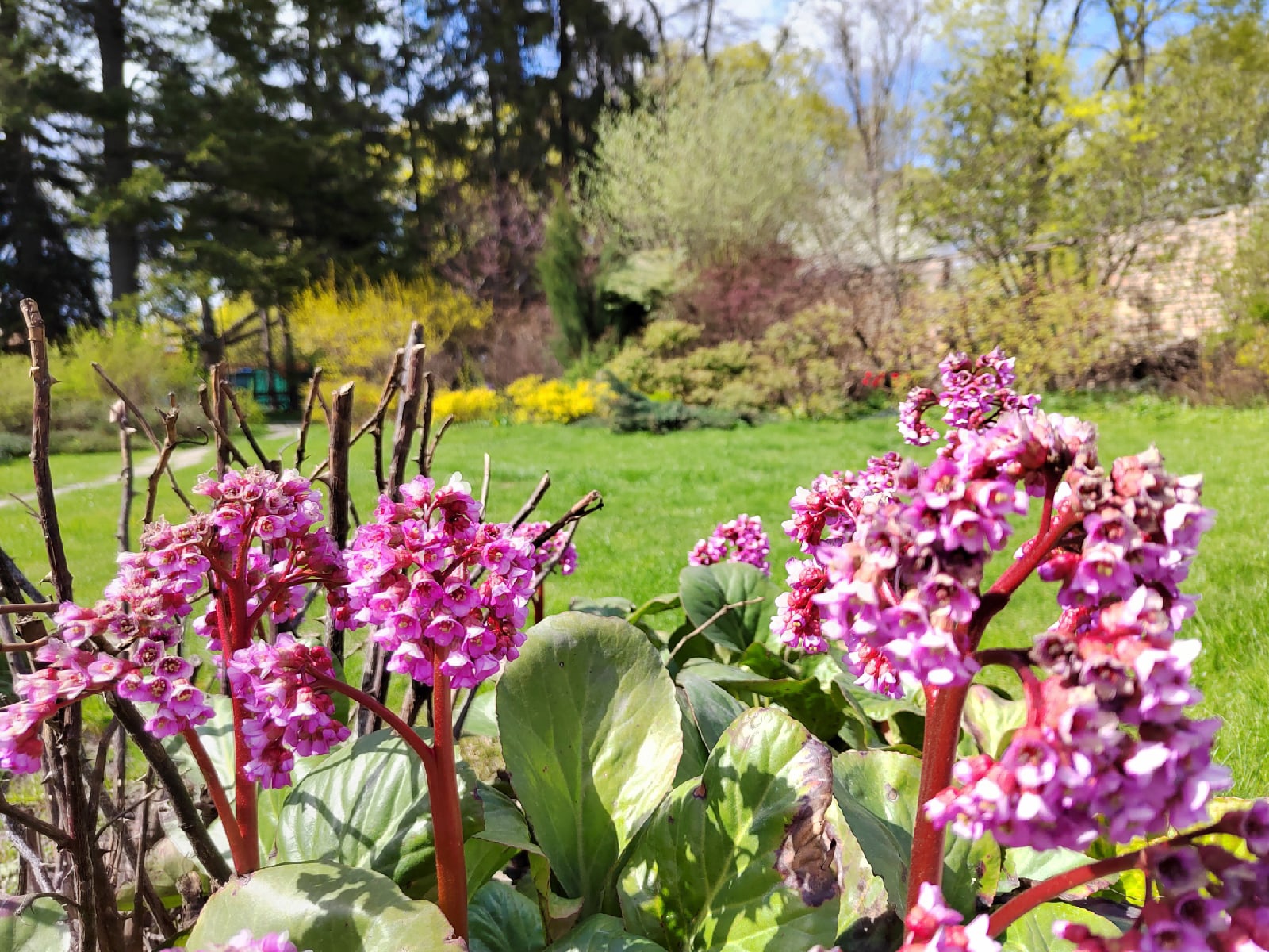 На короткой рабочей неделе пензенцам пообещали заморозки