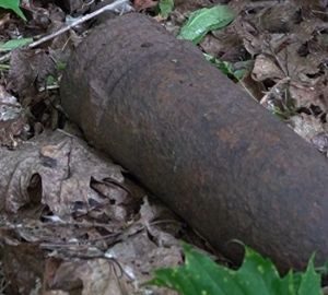 Житель Пензенской области нашел в лесополосе снаряд времен Великой Отечественной войны