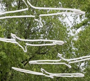 Пензенская область продолжит поиски пропавших воинов ВОВ по проекту «Молчаливое эхо войны»