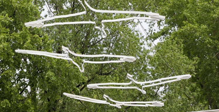 Пензенская область продолжит поиски пропавших воинов ВОВ по проекту «Молчаливое эхо войны»