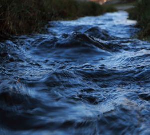 Переправа через реку: что нужно знать, чтобы выжить?