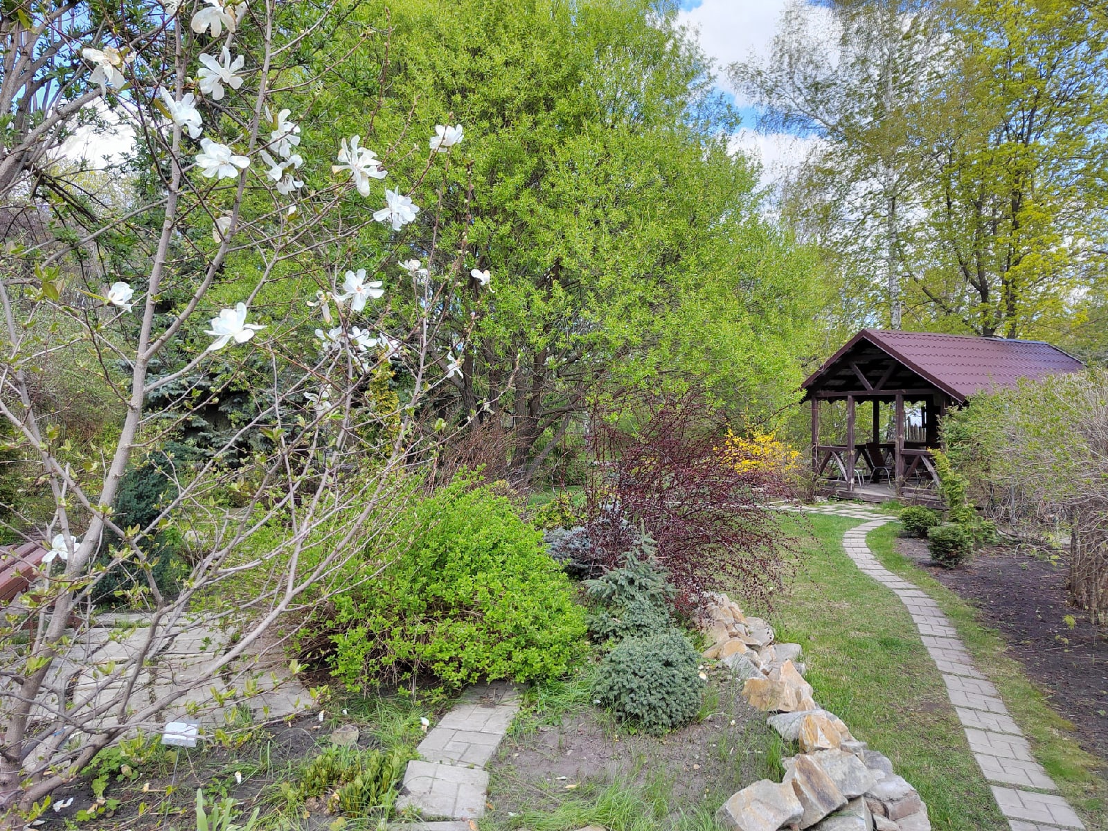 Российским дачникам рассказали о растениях-убийцах