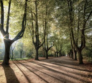 Пензенцам предлагают поучаствовать в оздоровительной акции