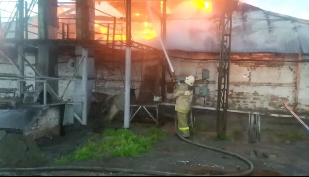 В Каменке горит склад с семечкой подсолнуха