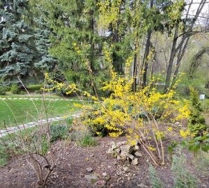 Дачникам рассказали о вреде долгой работы в огороде