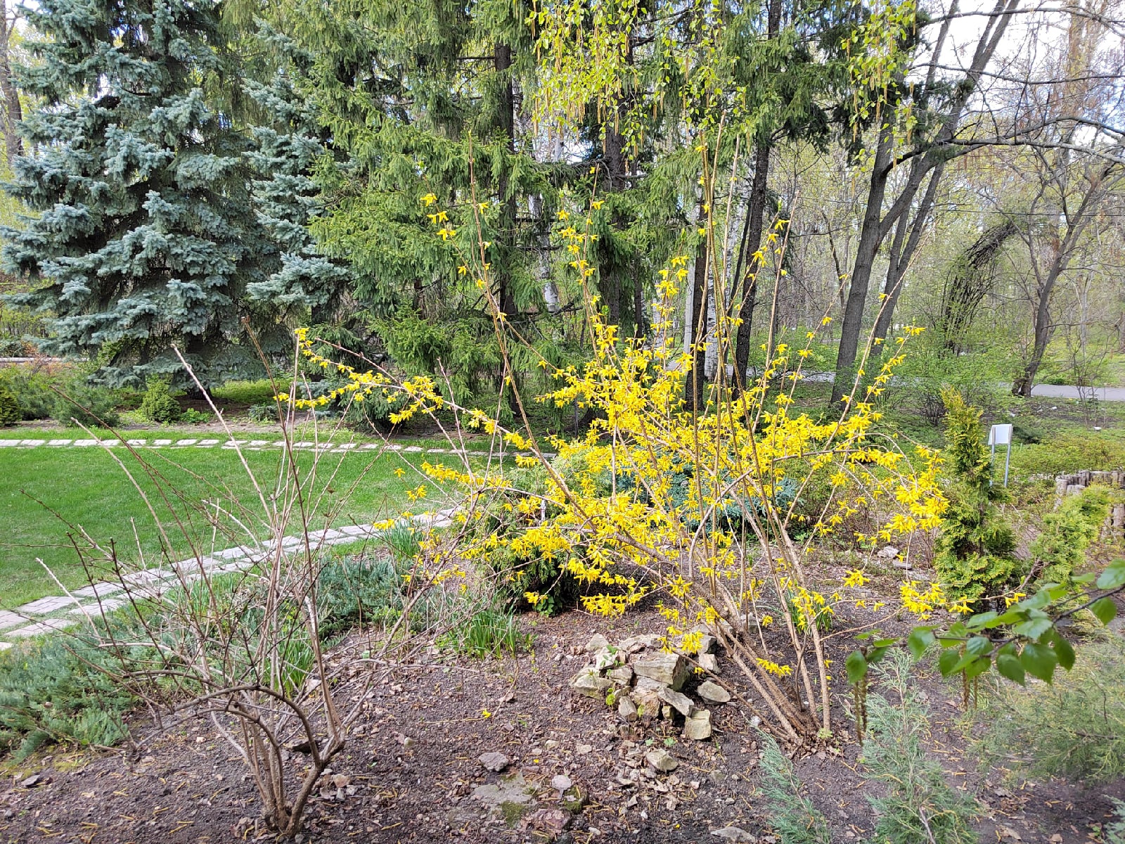 Дачникам рассказали о вреде долгой работы в огороде