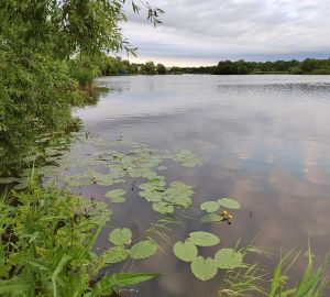 В МЧС предложили активнее штрафовать пензенцев за купание в нетрезвом виде
