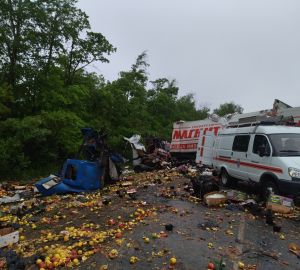 Тела двух водителей после жуткой аварии на М5 спасатели вырезали из кабин