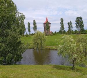 Жителей Спасского района приглашают принять участие в фестивале «Активное долголетие»