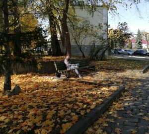 Мэр Басенко поручил привести в порядок сквер с неработающим фонтаном