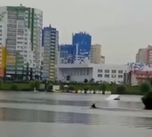 В Спутнике лось искупался в реке. Видео