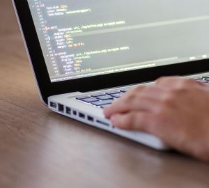 Пензенские ИТ-компании за год внесли в бюджет региона около 600 млн рублей